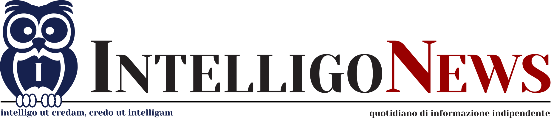 Intelligo News